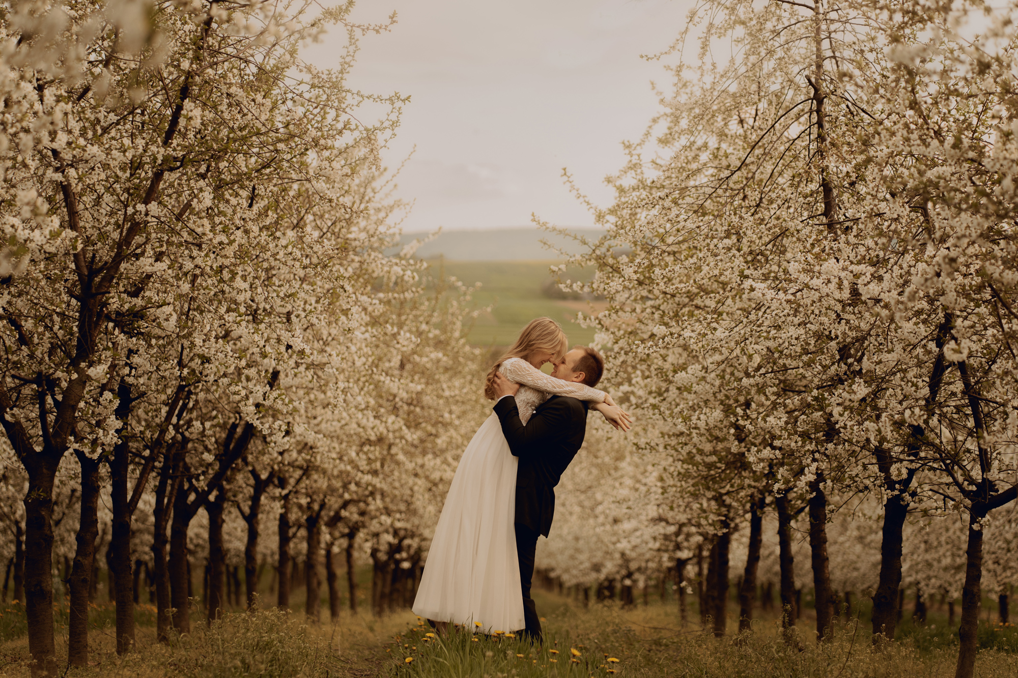 Wiosenna sesja slubna00007 - Sesja ślubna w kwitnącym sadzie