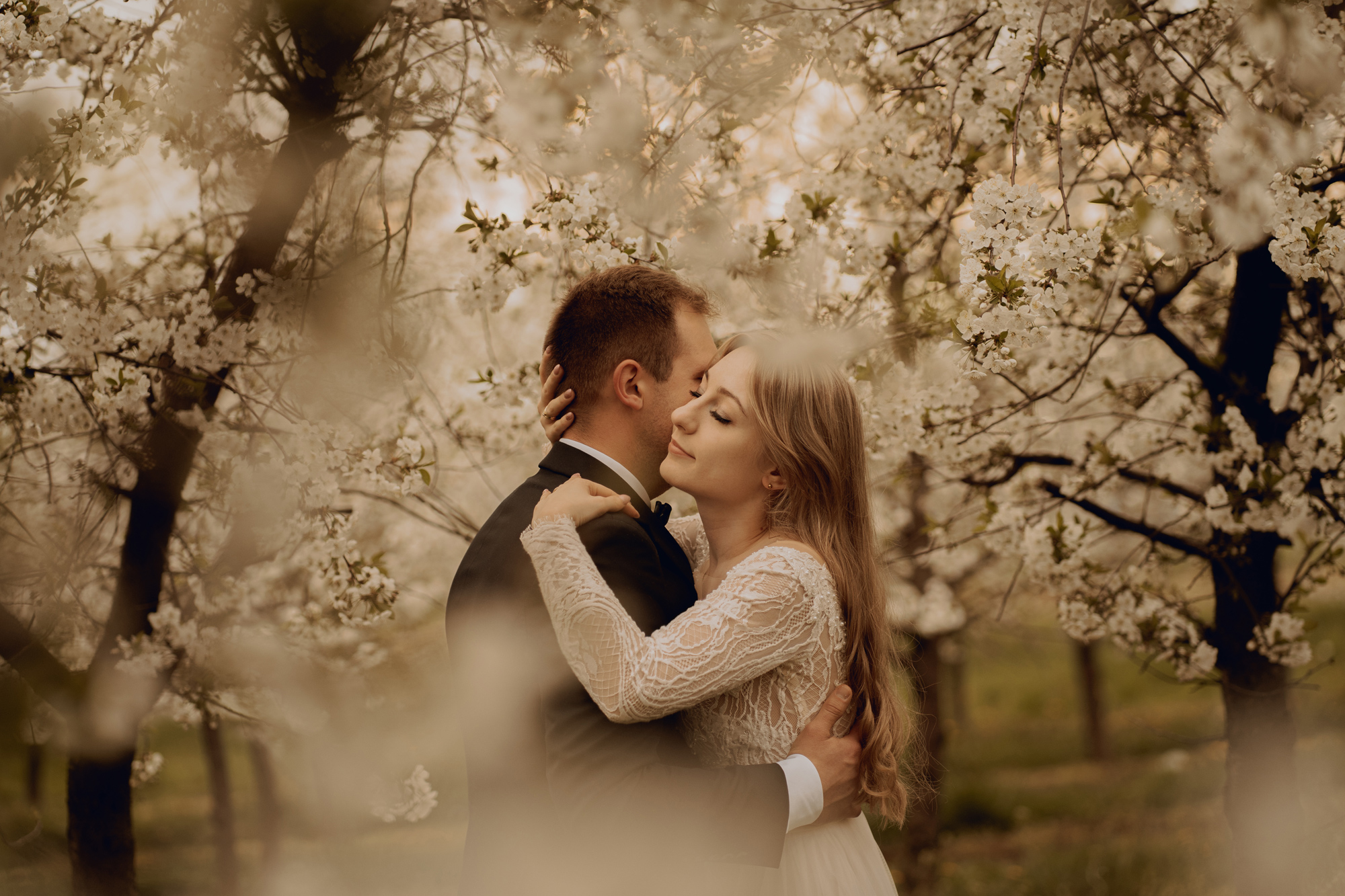 Sesja ślubna w kwitnącym sadzie