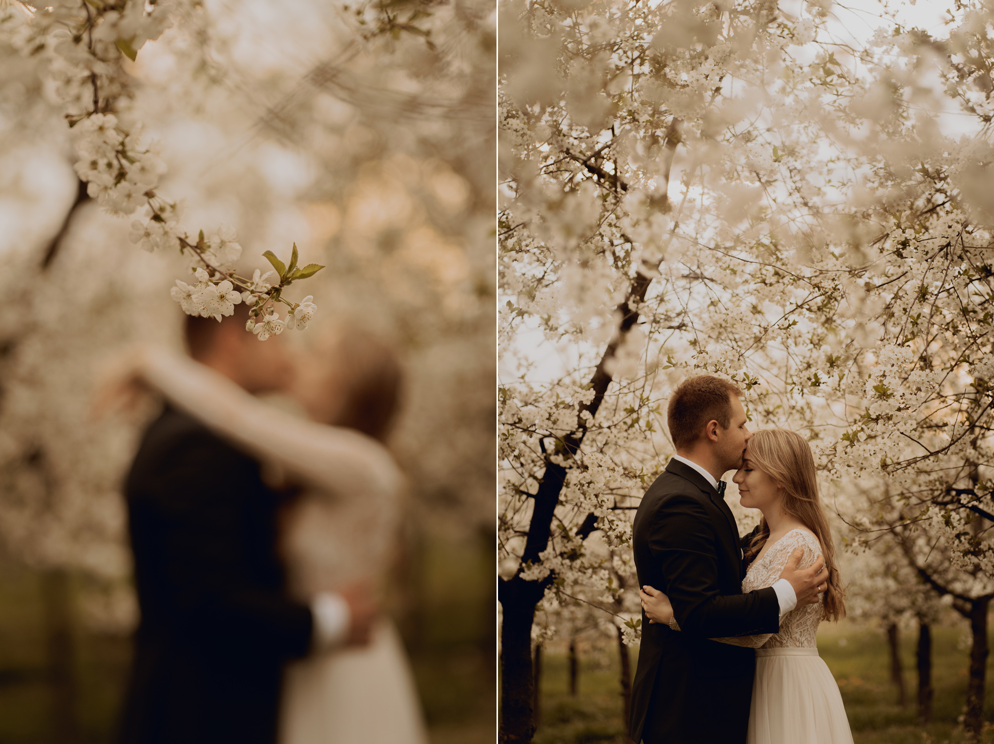 Wiosenna sesja slubna00011 - Sesja ślubna w kwitnącym sadzie