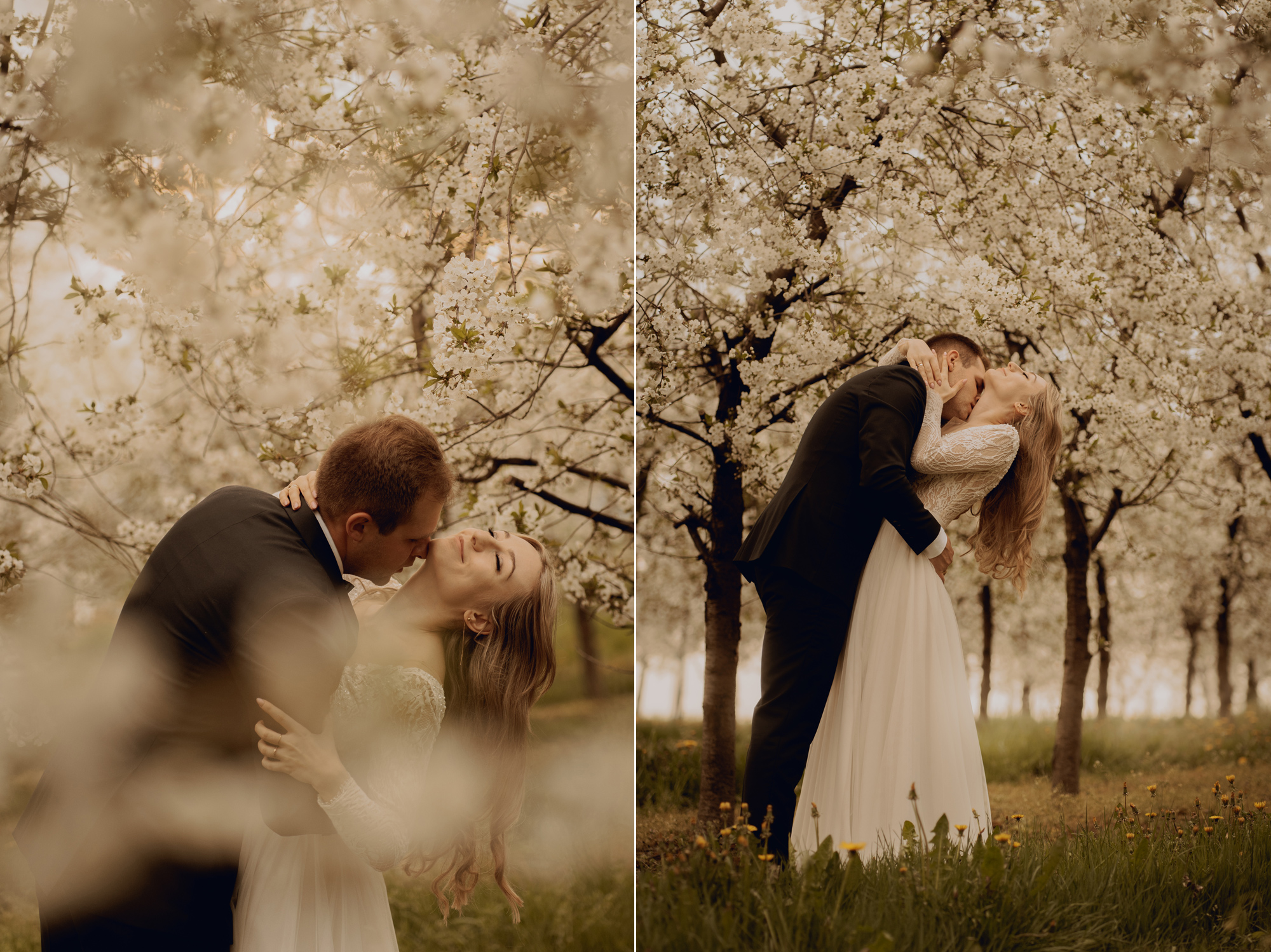 Wiosenna sesja slubna00012 - Sesja ślubna w kwitnącym sadzie
