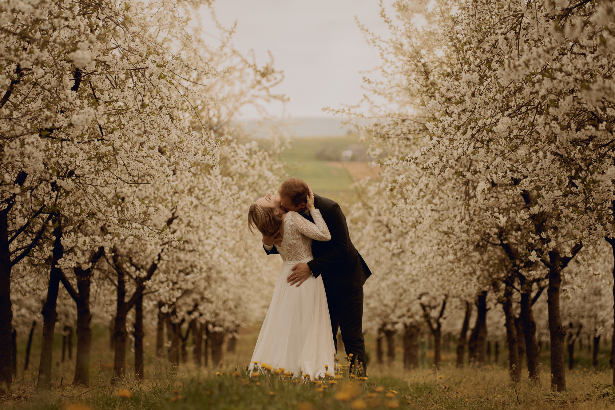 Wiosenna sesja slubna00013 - Sesja ślubna w kwitnącym sadzie