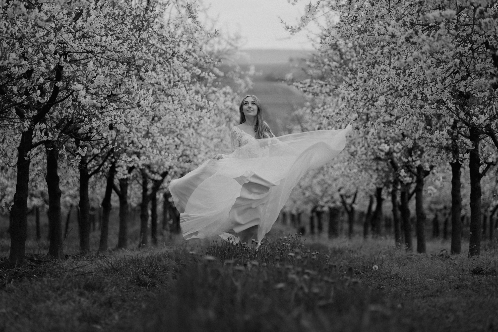 Wiosenna sesja slubna00022 - Sesja ślubna w kwitnącym sadzie