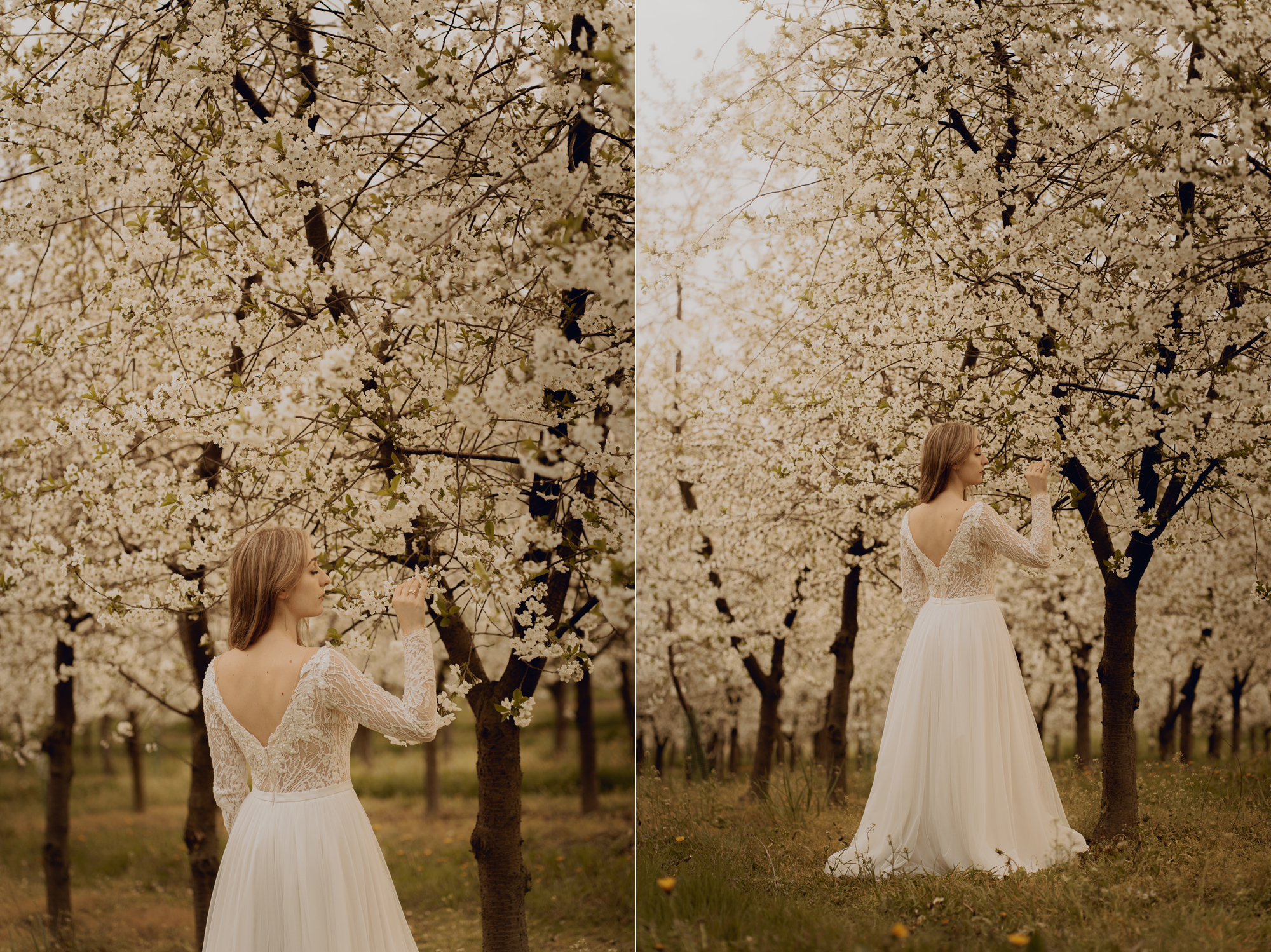 Wiosenna sesja slubna00027 - Sesja ślubna w kwitnącym sadzie