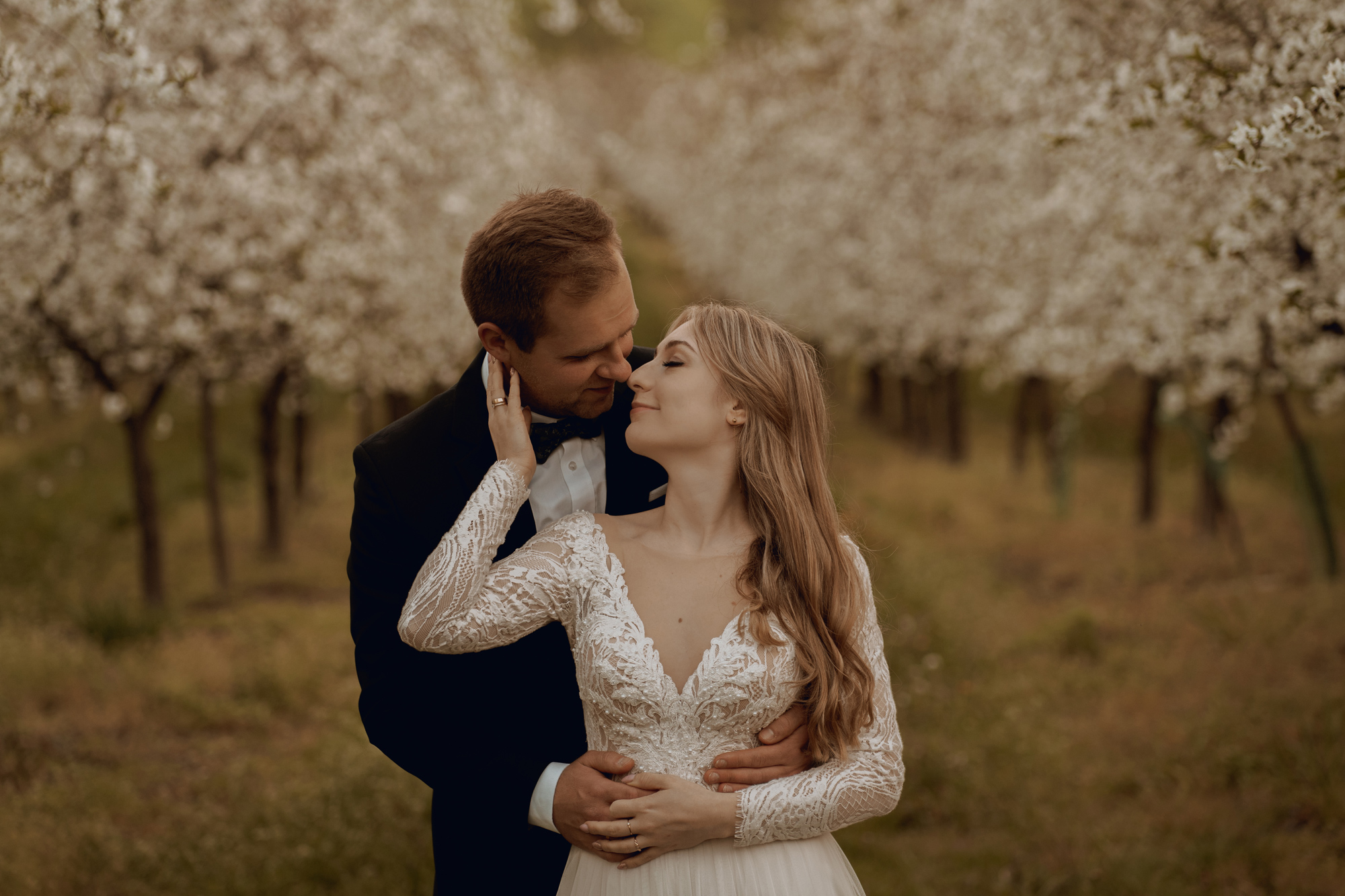 Wiosenna sesja slubna00035 - Sesja ślubna w kwitnącym sadzie