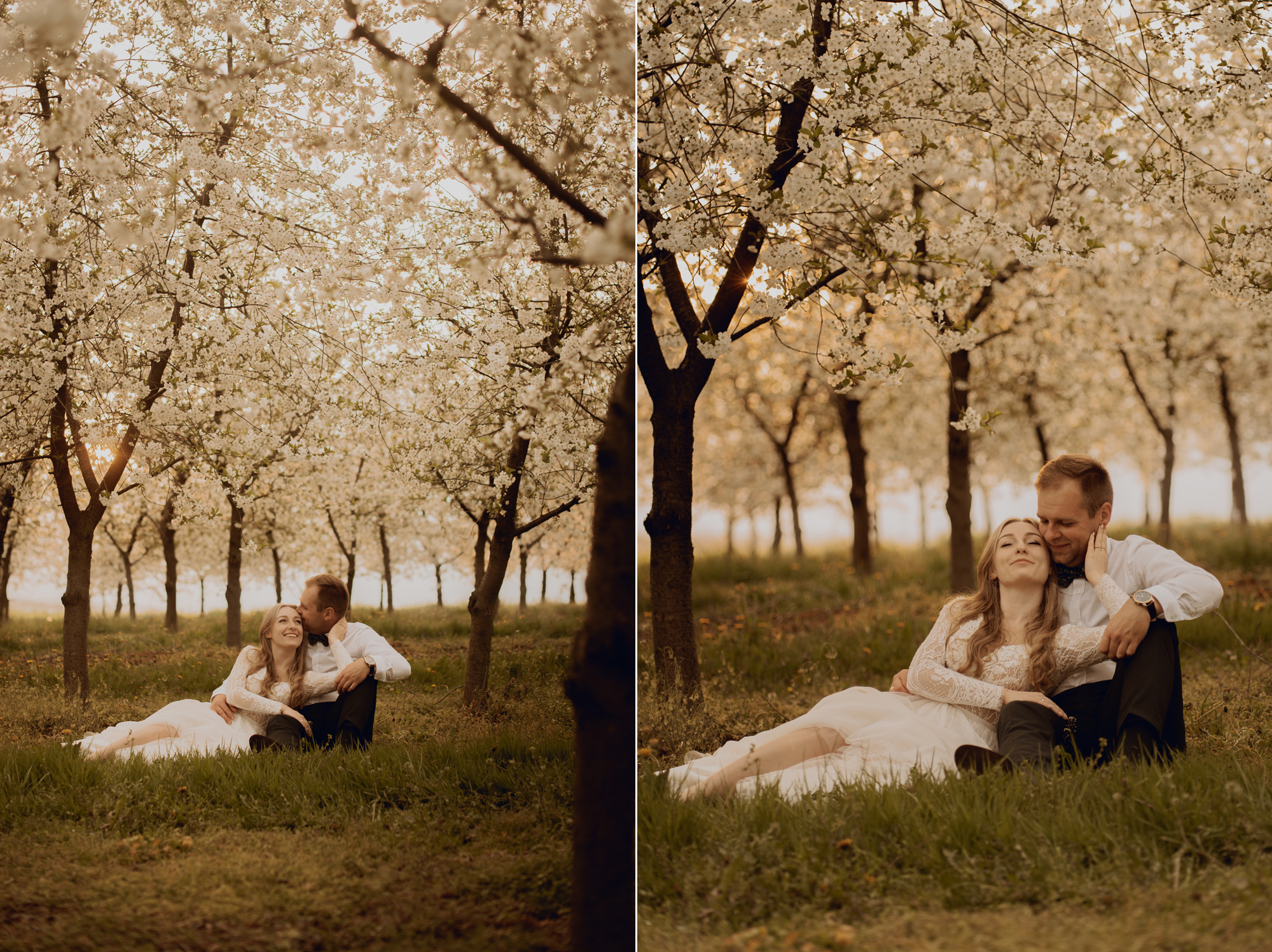 Wiosenna sesja slubna00040 - Sesja ślubna w kwitnącym sadzie