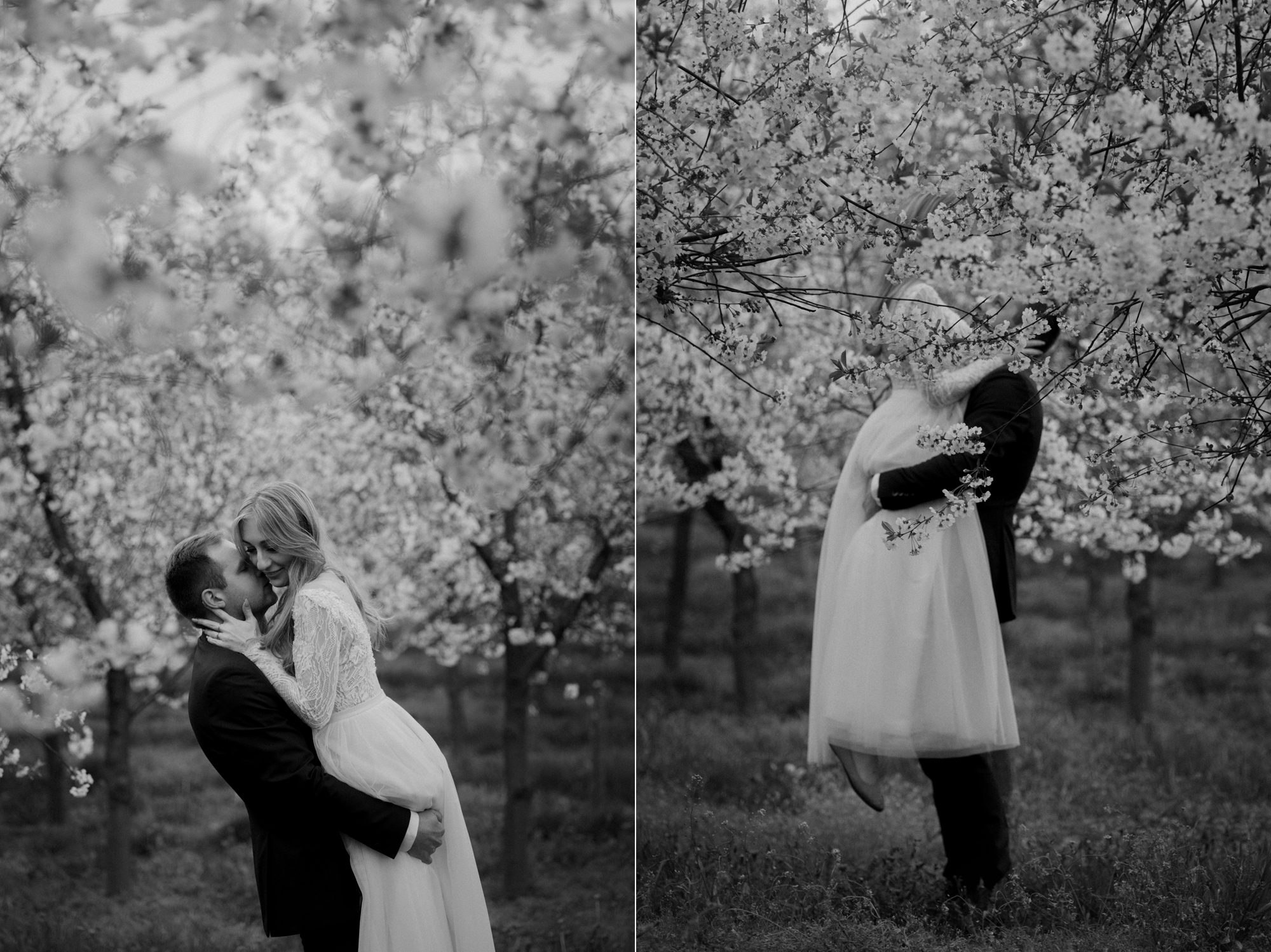 Wiosenna sesja slubna00042 - Sesja ślubna w kwitnącym sadzie