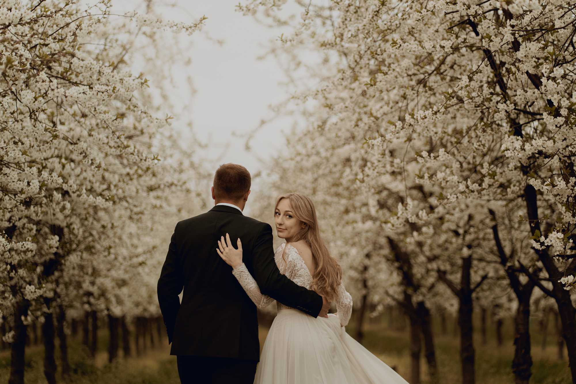 Wiosenna sesja slubna00045 - Sesja ślubna w kwitnącym sadzie