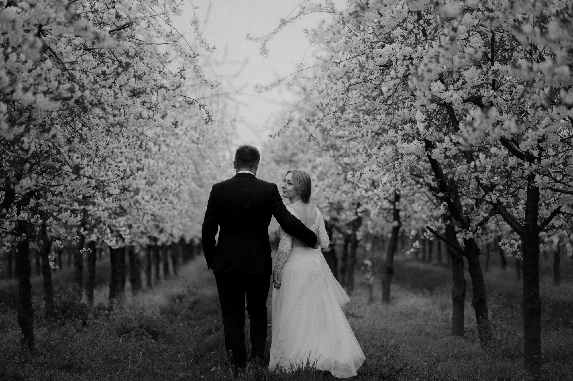 Wiosenna sesja slubna00046 - Sesja ślubna w kwitnącym sadzie