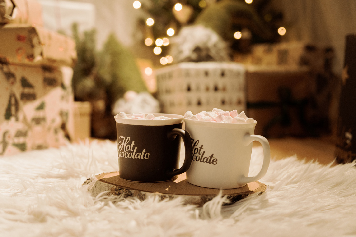 swiateczna sesja rodzinna00030 - Rodzinna sesja świąteczna