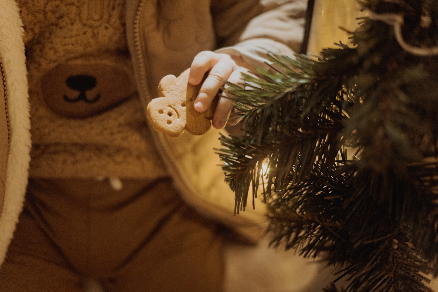 swiateczna sesja rodzinna00033 - Rodzinna sesja świąteczna