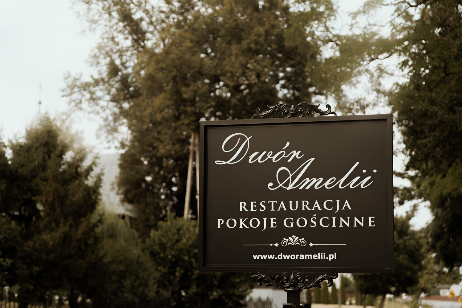 wesele w dworze amelii00001 - Wesele w Dworze Amelii