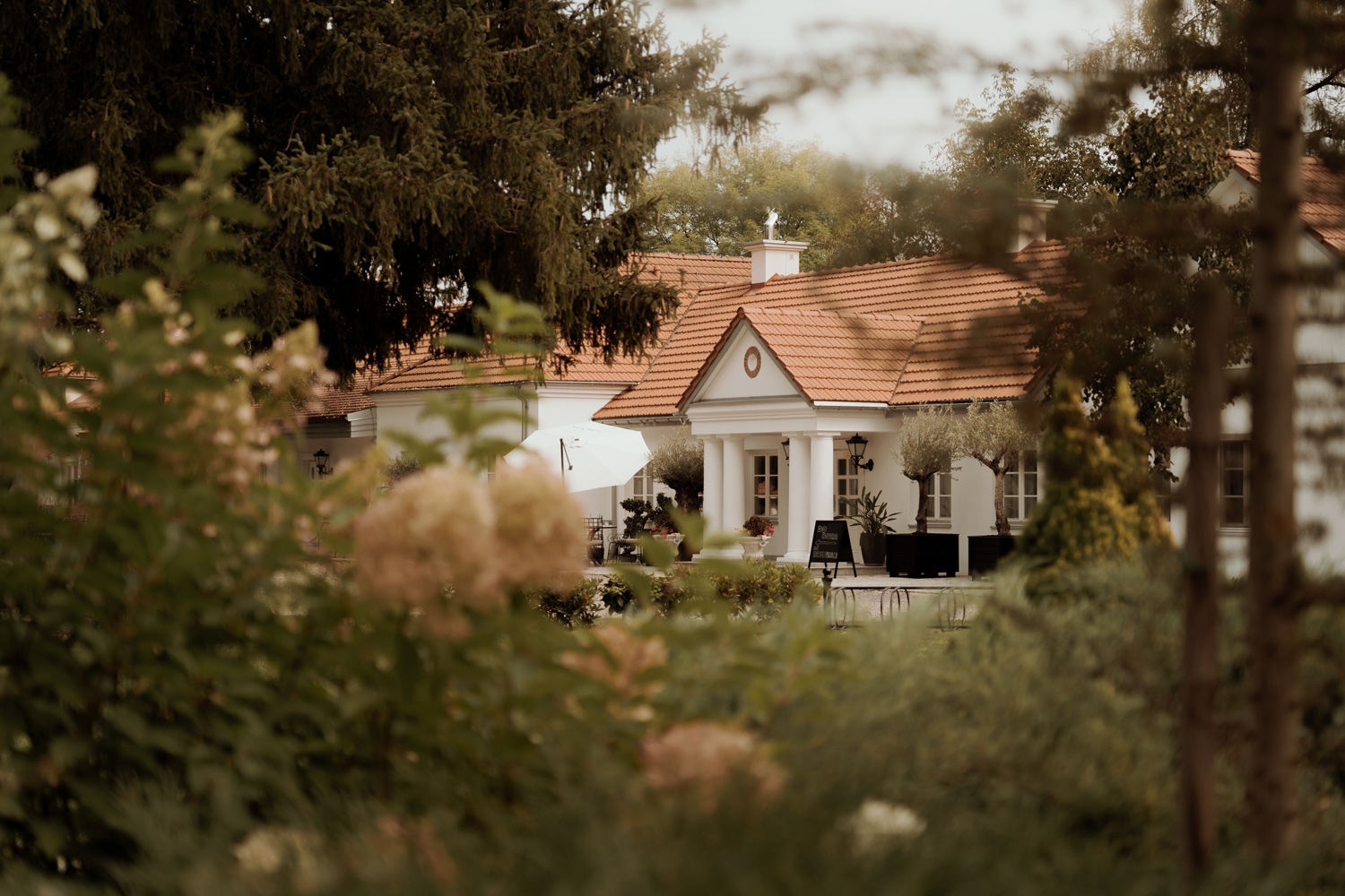 wesele w dworze amelii00002 - Wesele w Dworze Amelii