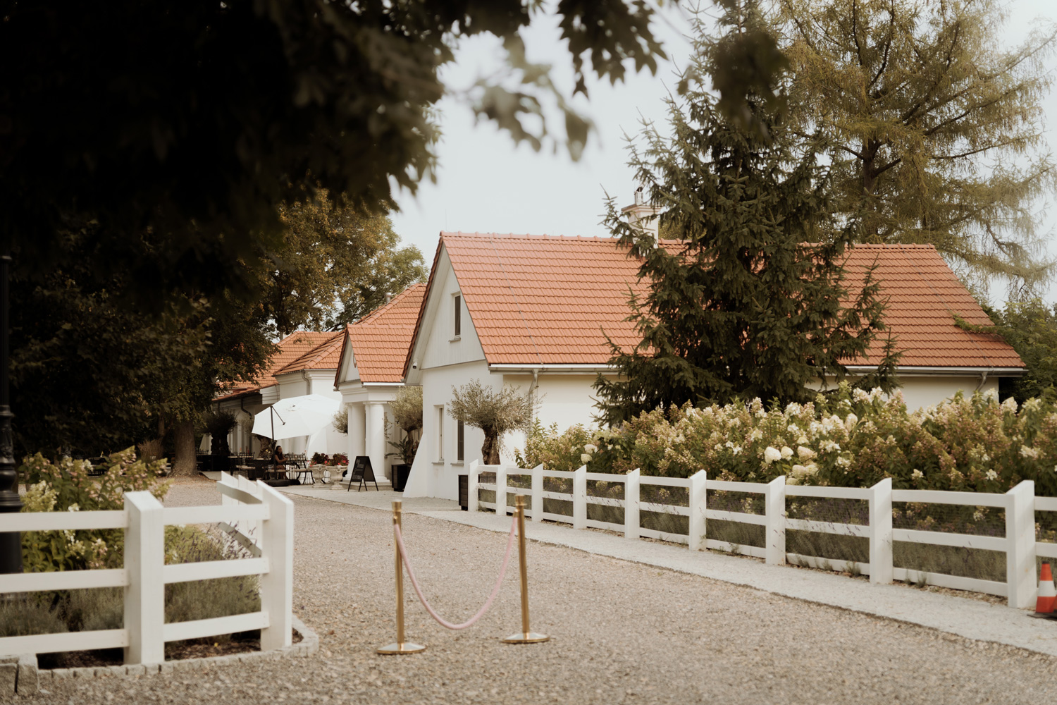 wesele w dworze amelii00003 - Wesele w Dworze Amelii