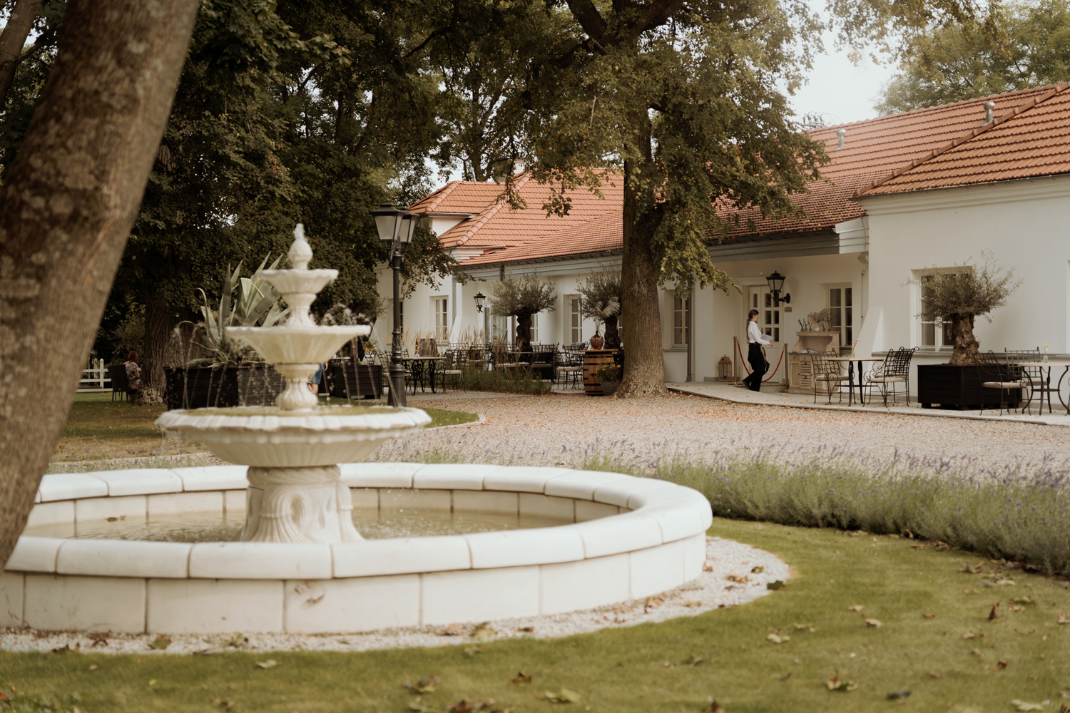 wesele w dworze amelii00005 - Wesele w Dworze Amelii