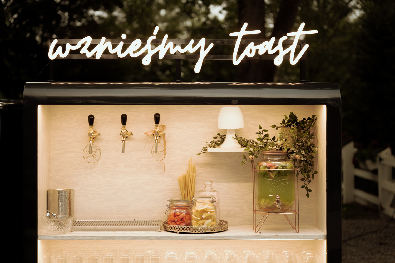 wesele w dworze amelii00031 - Wesele w Dworze Amelii