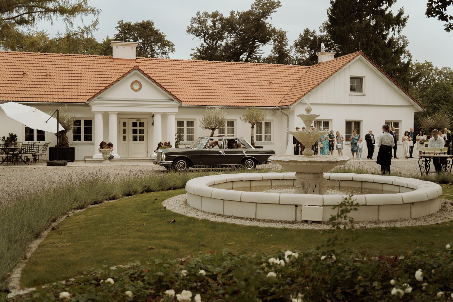 wesele w dworze amelii00109 - Wesele w Dworze Amelii