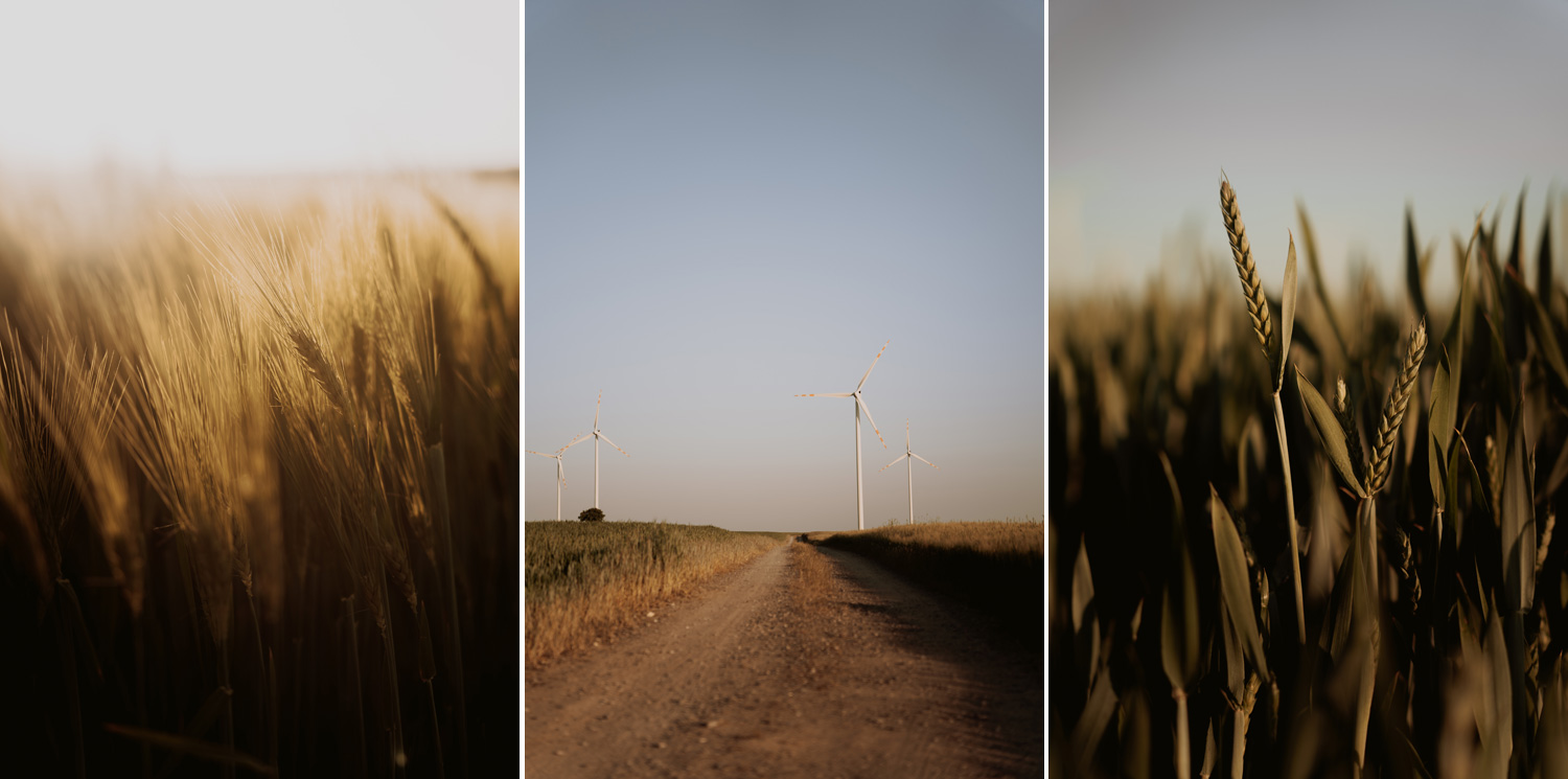 sesja narzeczenska kielce00012 - Sesja narzeczeńska Kielce