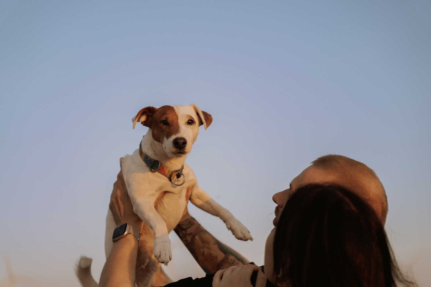 sesja narzeczenska kielce00014 - Sesja narzeczeńska Kielce