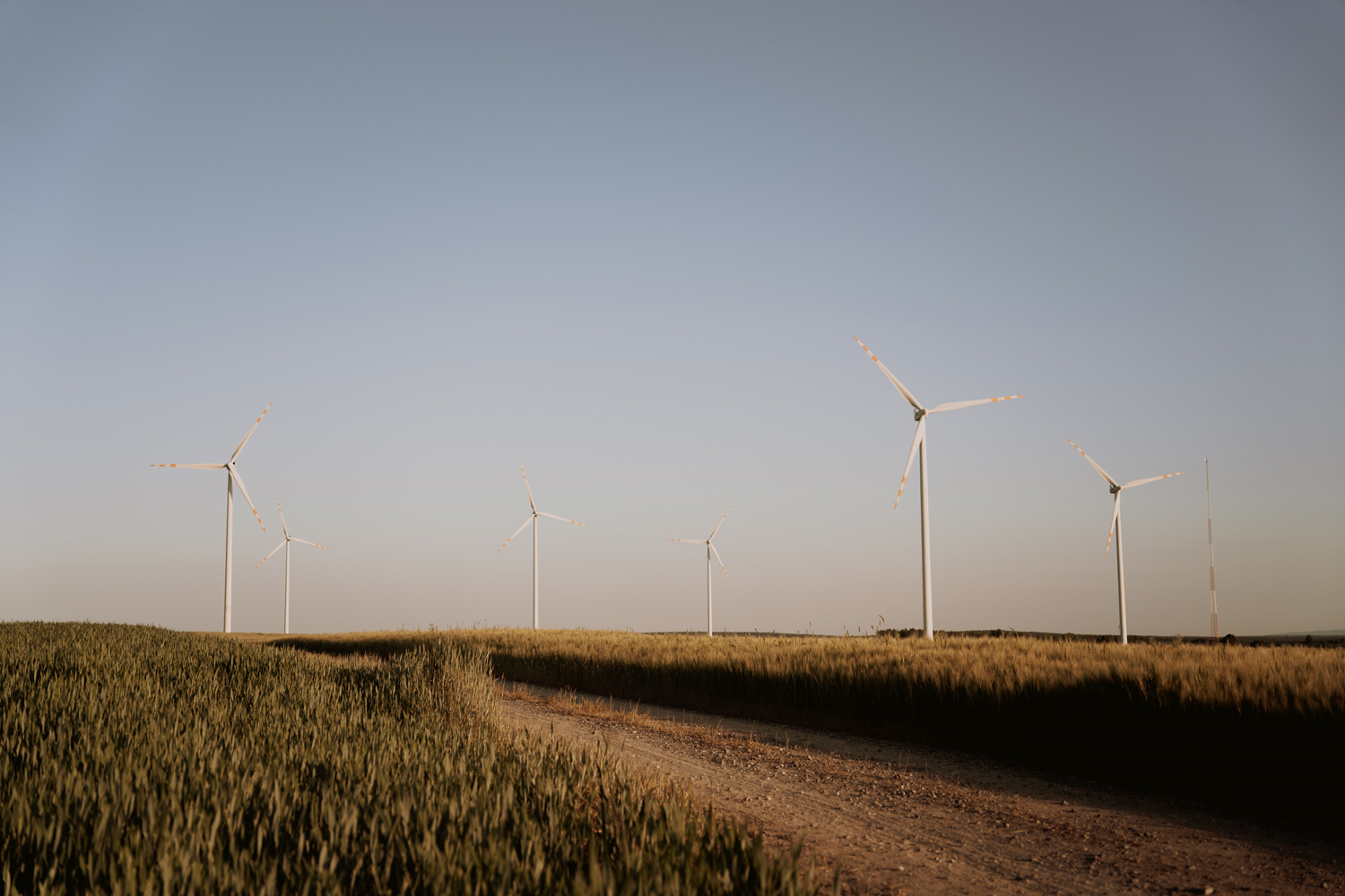 sesja narzeczenska kielce00026 - Sesja narzeczeńska Kielce