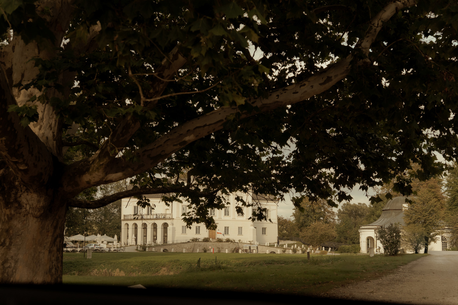 palac w kurozwekach wesele00001 - Pałac w Kurozwękach - jesienne wesele