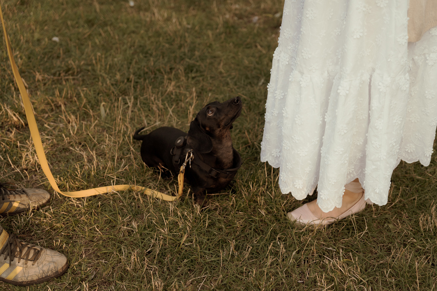 sesja narzeczenska w kielcach00022 - Sesja narzeczeńska w Kielcach