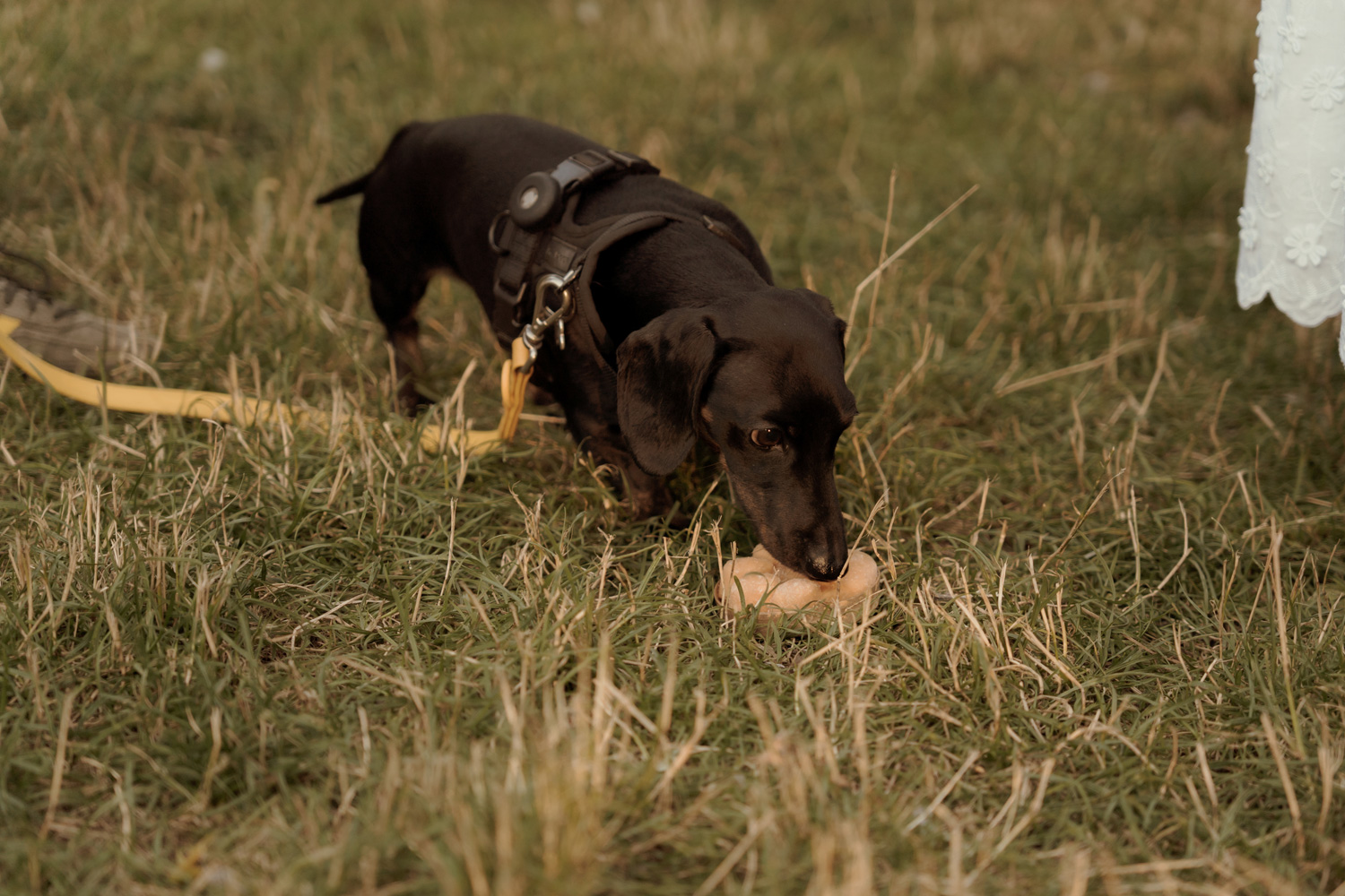 sesja narzeczenska w kielcach00024 - Sesja narzeczeńska w Kielcach