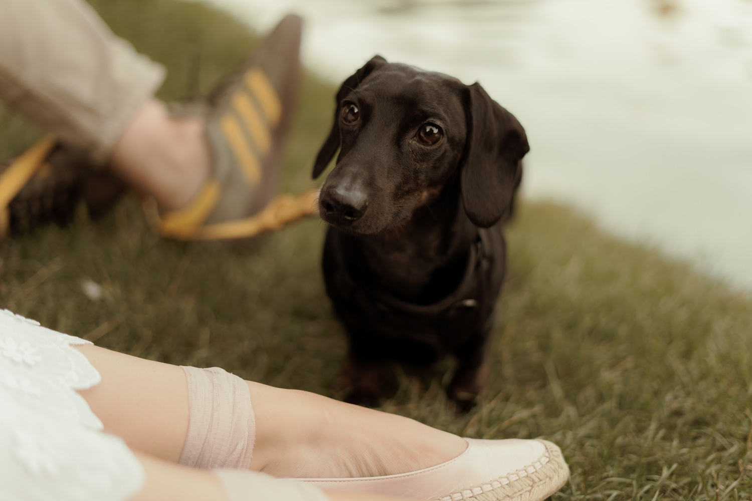 sesja narzeczenska w kielcach00028 - Sesja narzeczeńska w Kielcach