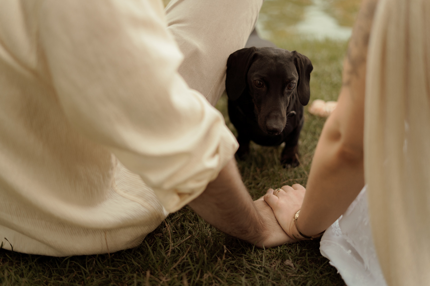 sesja narzeczenska w kielcach00031 - Sesja narzeczeńska w Kielcach