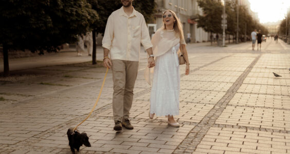 Sesja narzeczeńska w Kielcach