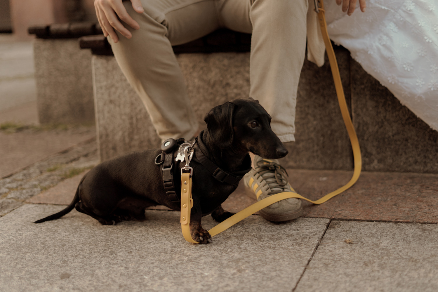sesja narzeczenska w kielcach00038 - Sesja narzeczeńska w Kielcach