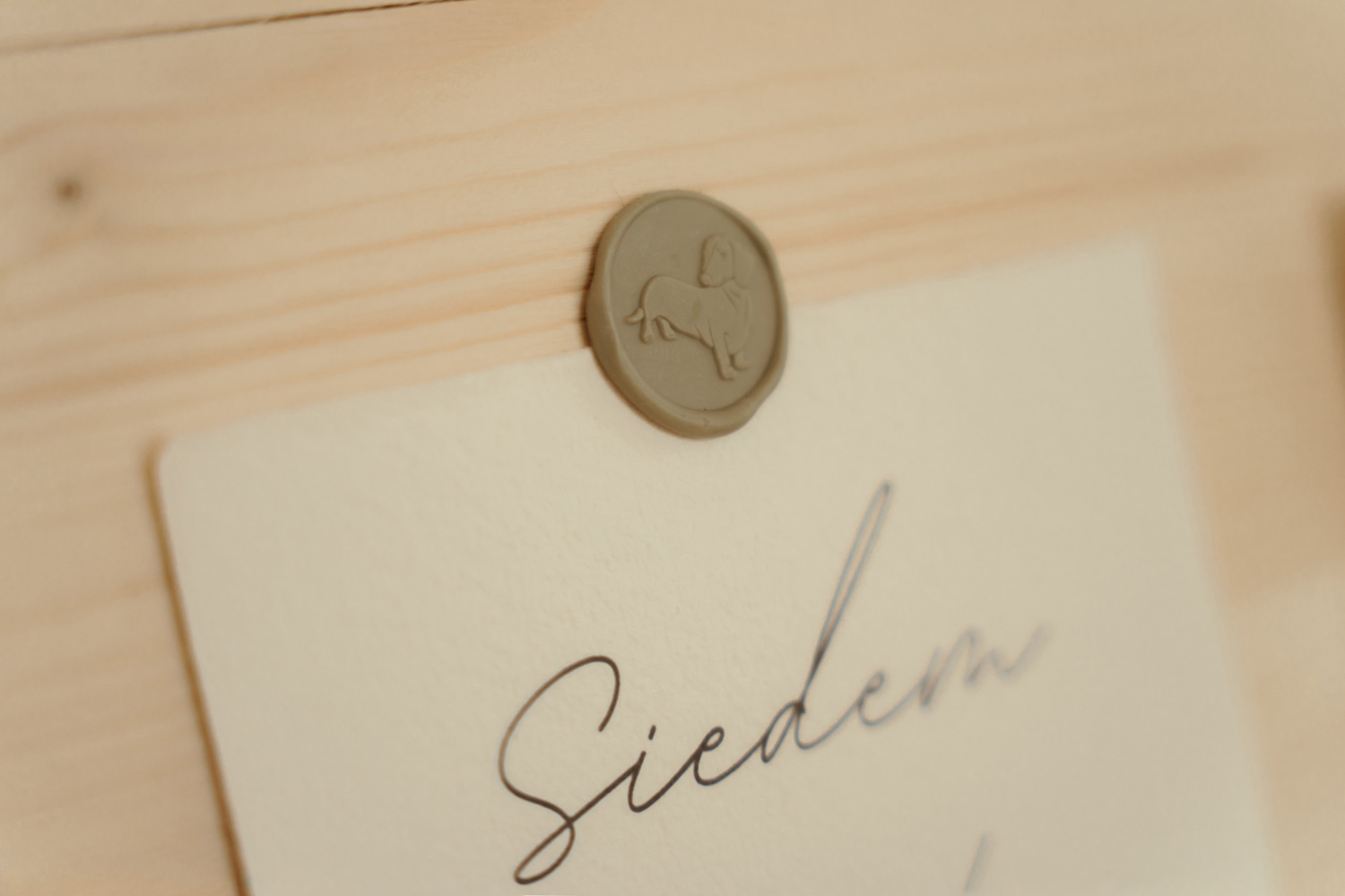 slub tokarnia00029 - Polsko-hiszpański ślub w plenerze - Tokarnia