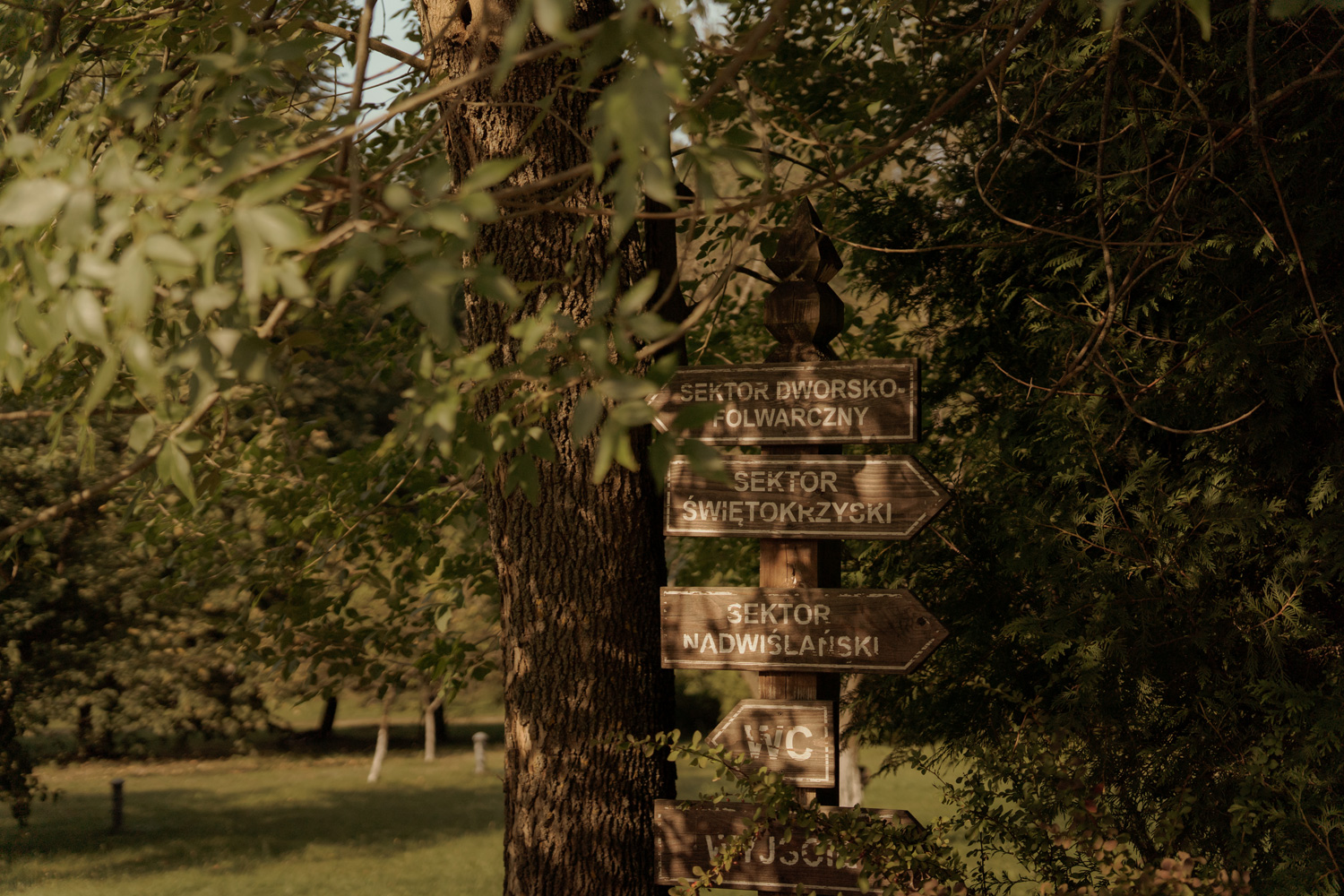 slub w plenerze tokarnia00002 - Polsko-hiszpański ślub w plenerze - Tokarnia