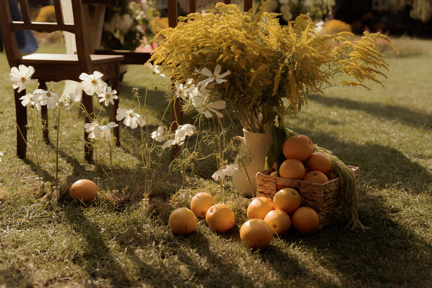 slub w plenerze tokarnia00004 - Polsko-hiszpański ślub w plenerze - Tokarnia